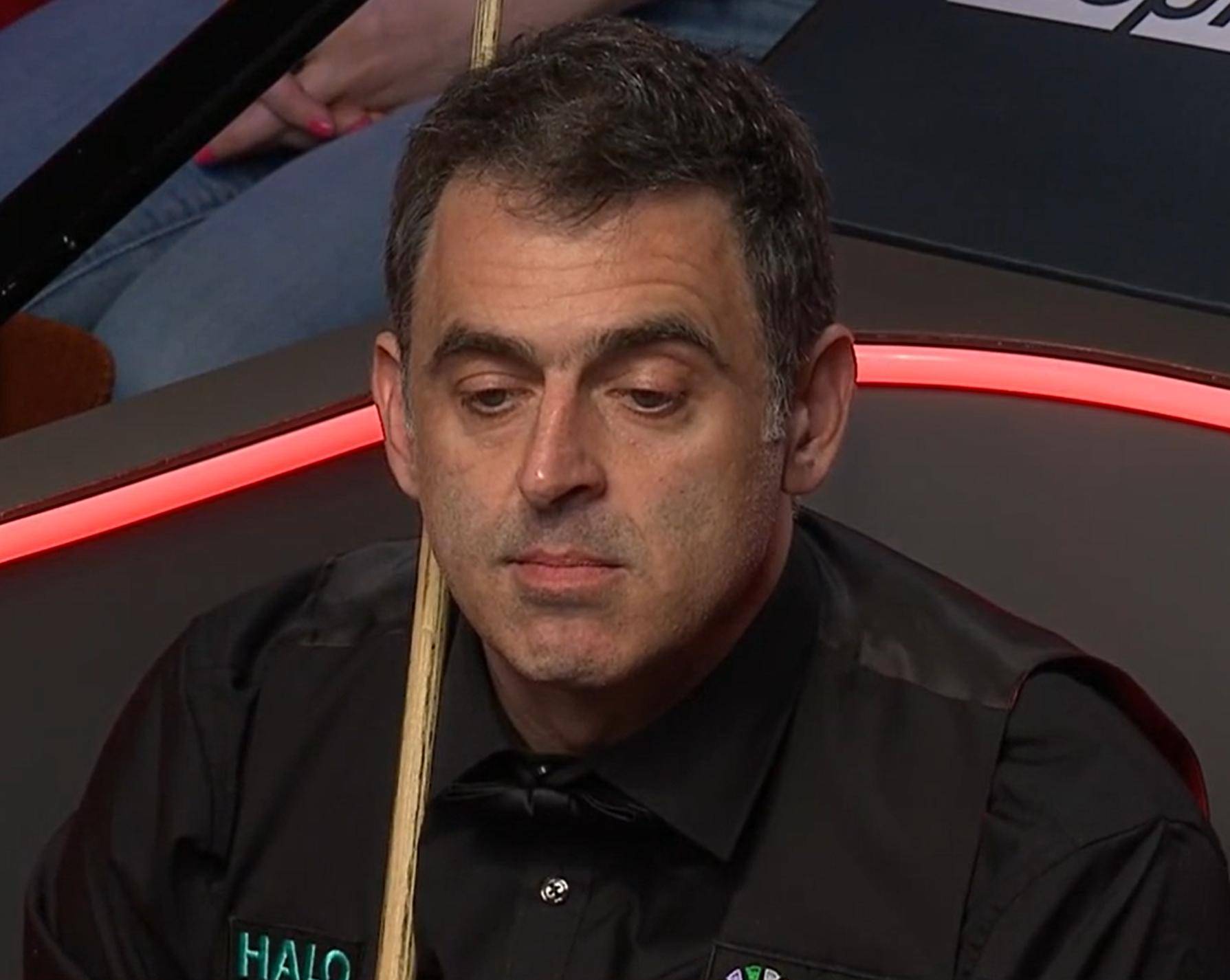 子团体在本 子团体在本